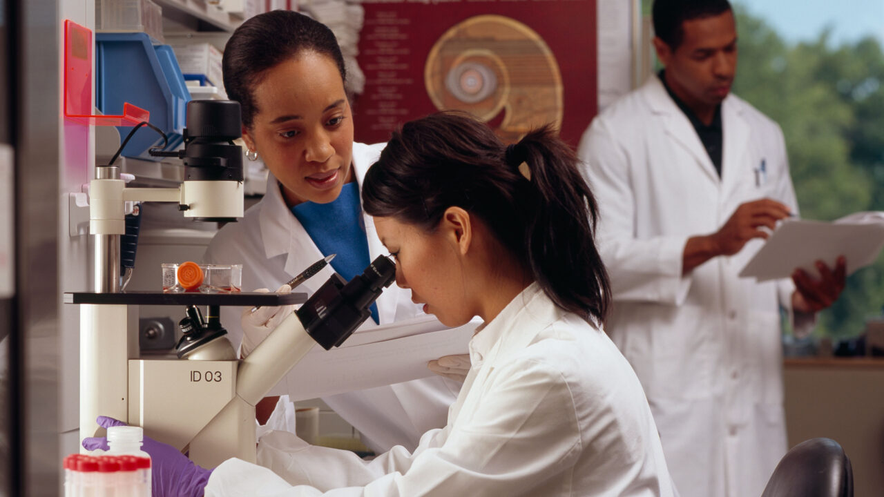 Researchers working at benches in a laboratory