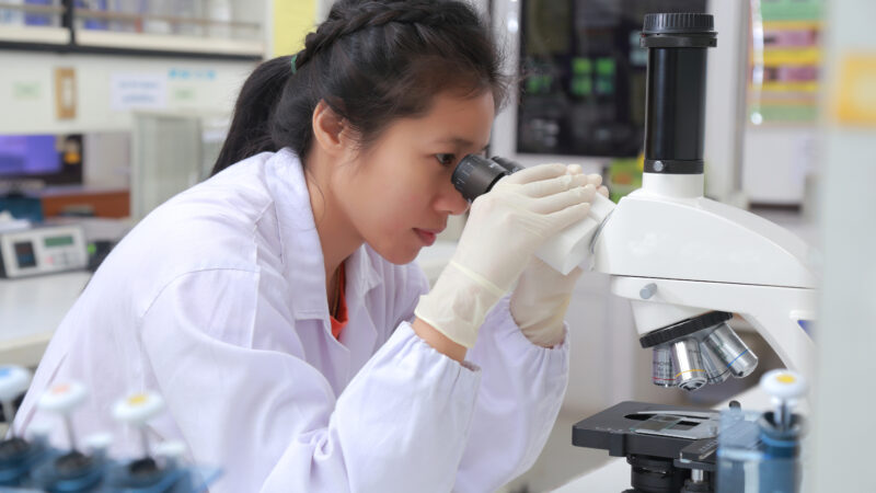 Scientists working in a laboratory